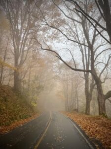 Applicable Defenses For A Halloween DUI