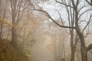 Applicable Defenses For A Halloween DUI